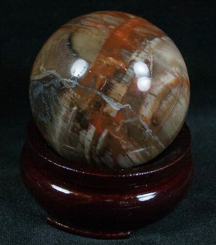 Colorful Petrified Wood Sphere #6795